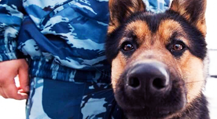 На страже выигрышей